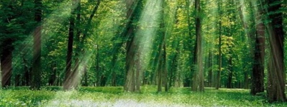 Isus e Viața